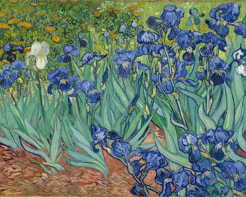 Irises by Vincent van Gogh, 1889