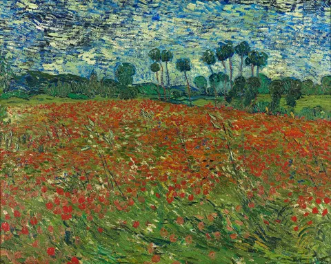 Poppy Field by Vincent van Gogh, 1890