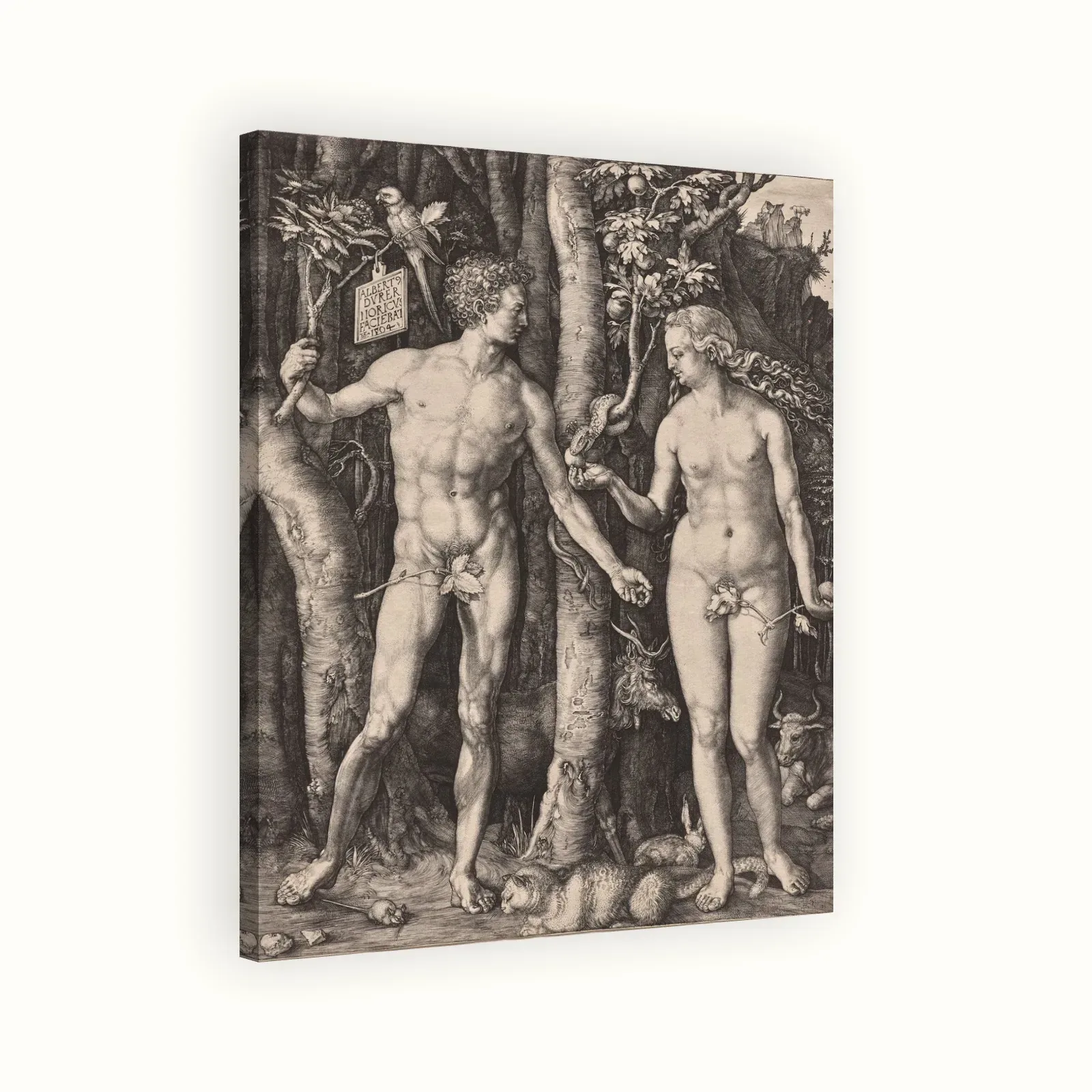 Adam and Eve by Albrecht Dürer, 1504: Stretched canvas