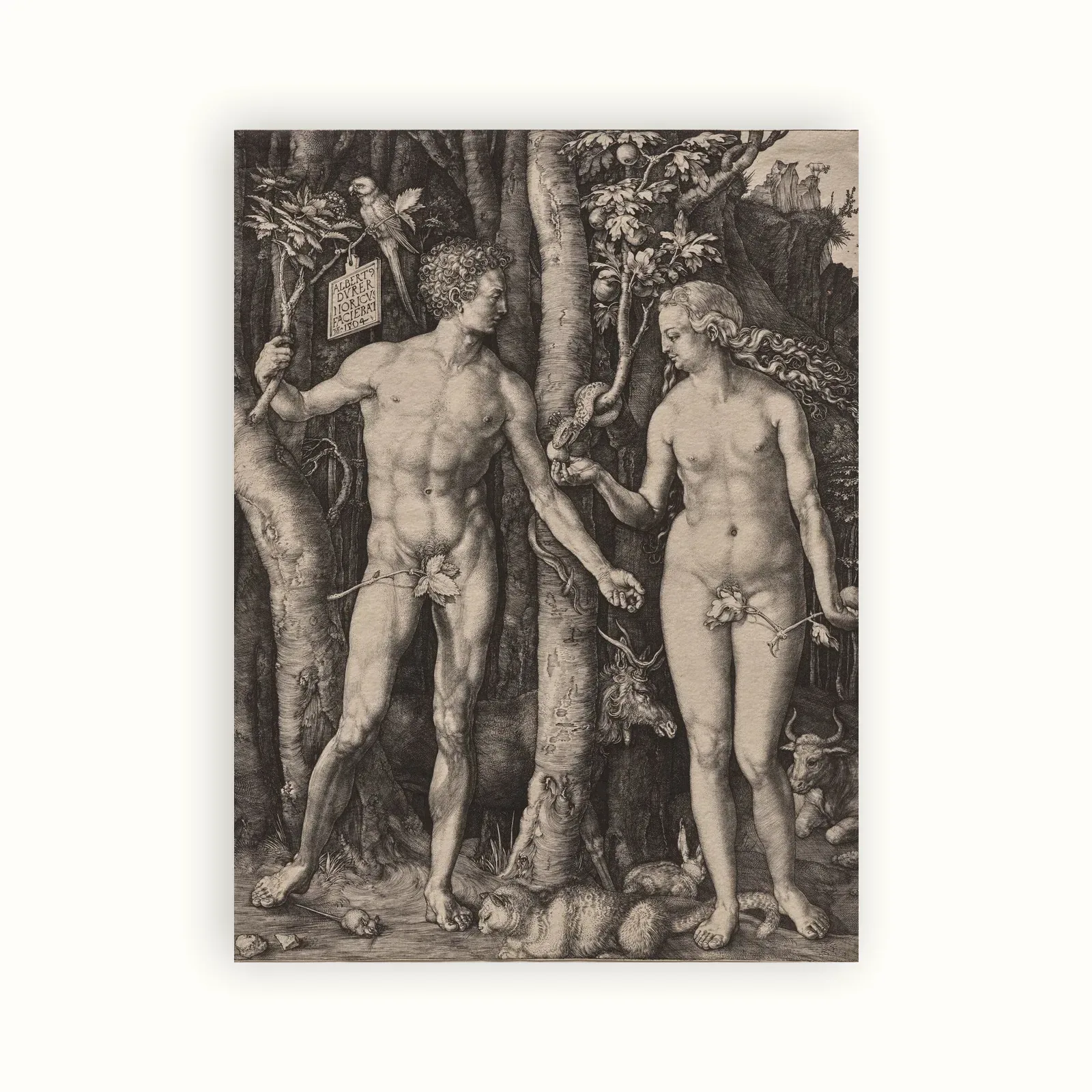 Adam and Eve by Albrecht Dürer, 1504: as a fine art print