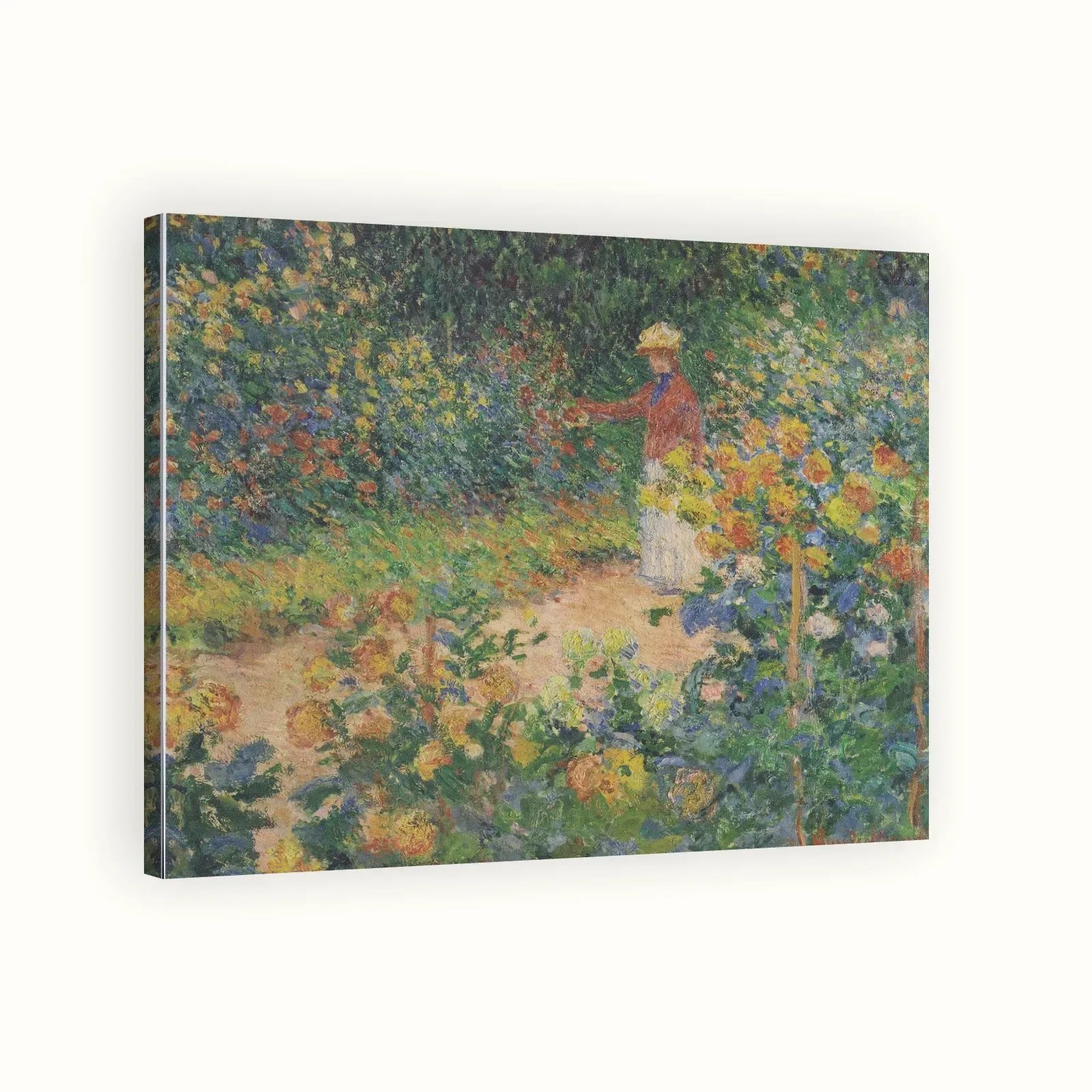 Monet's Garden at Giverny by Claude Monet, 1895: Stretched canvas