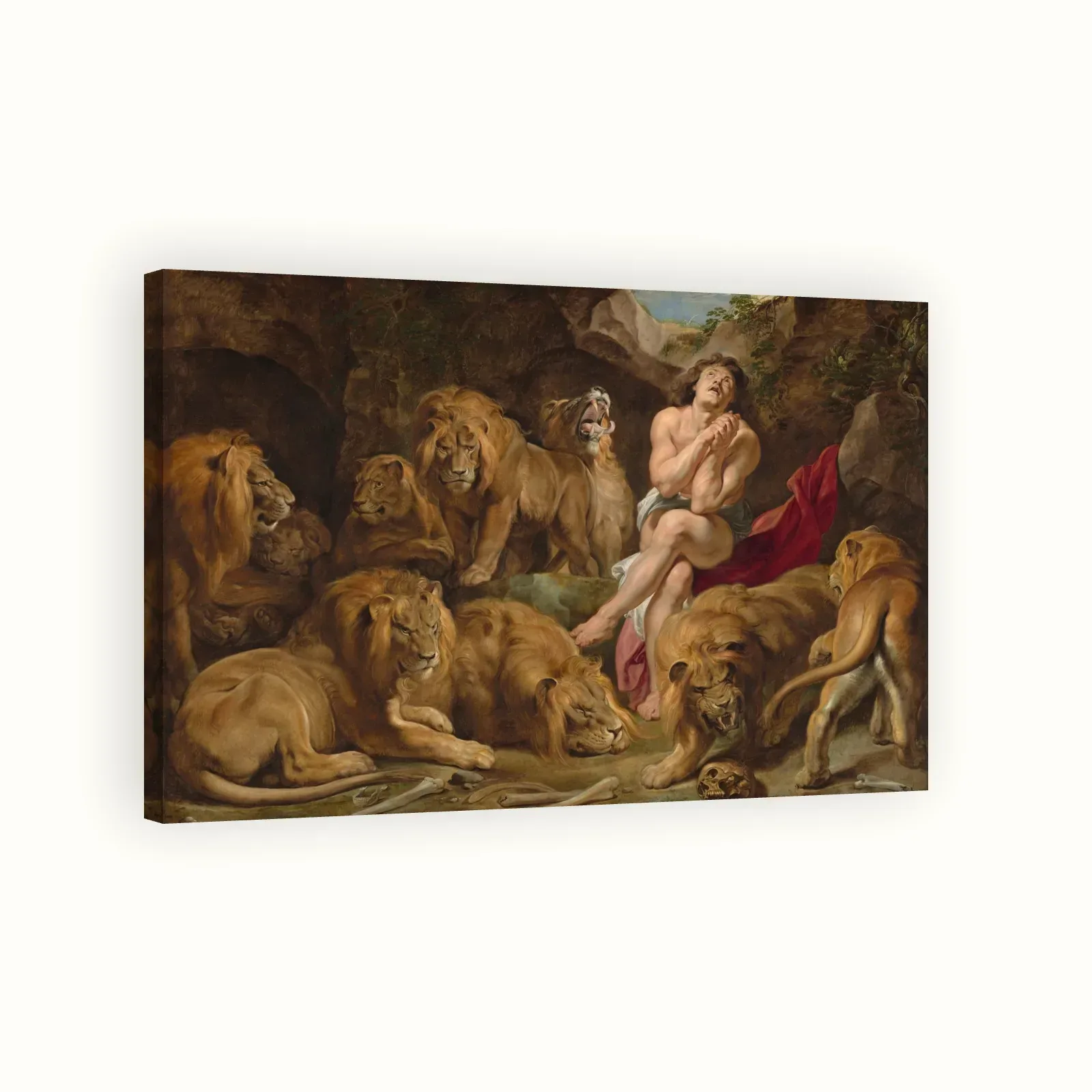 Daniel in the Lions' Den by Peter Paul Rubens, c. 1614–1616: Stretched canvas