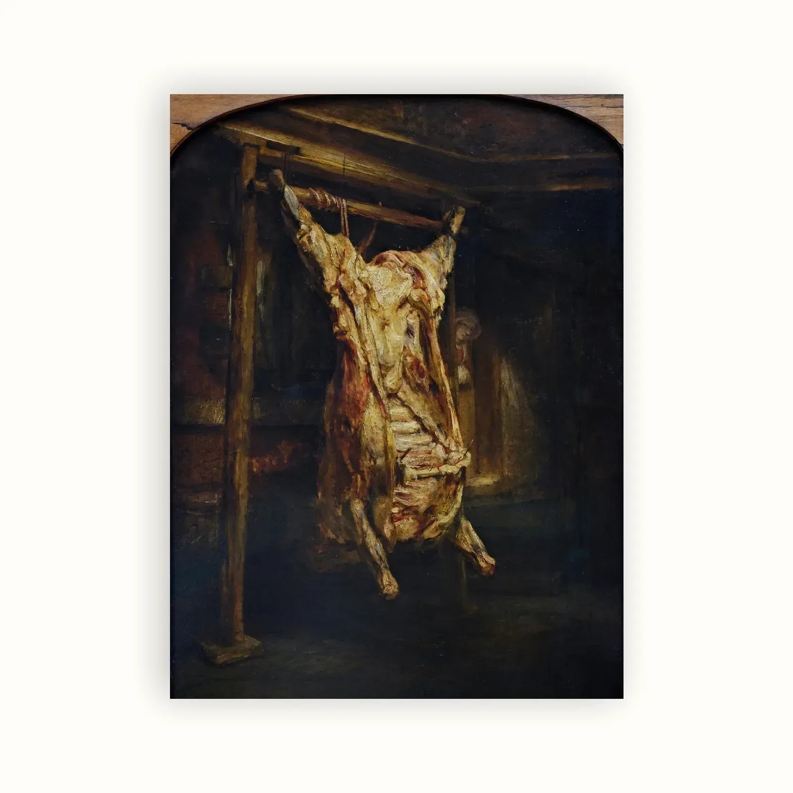 A Slaughtered Ox by Rembrandt, 1655: as a fine art print