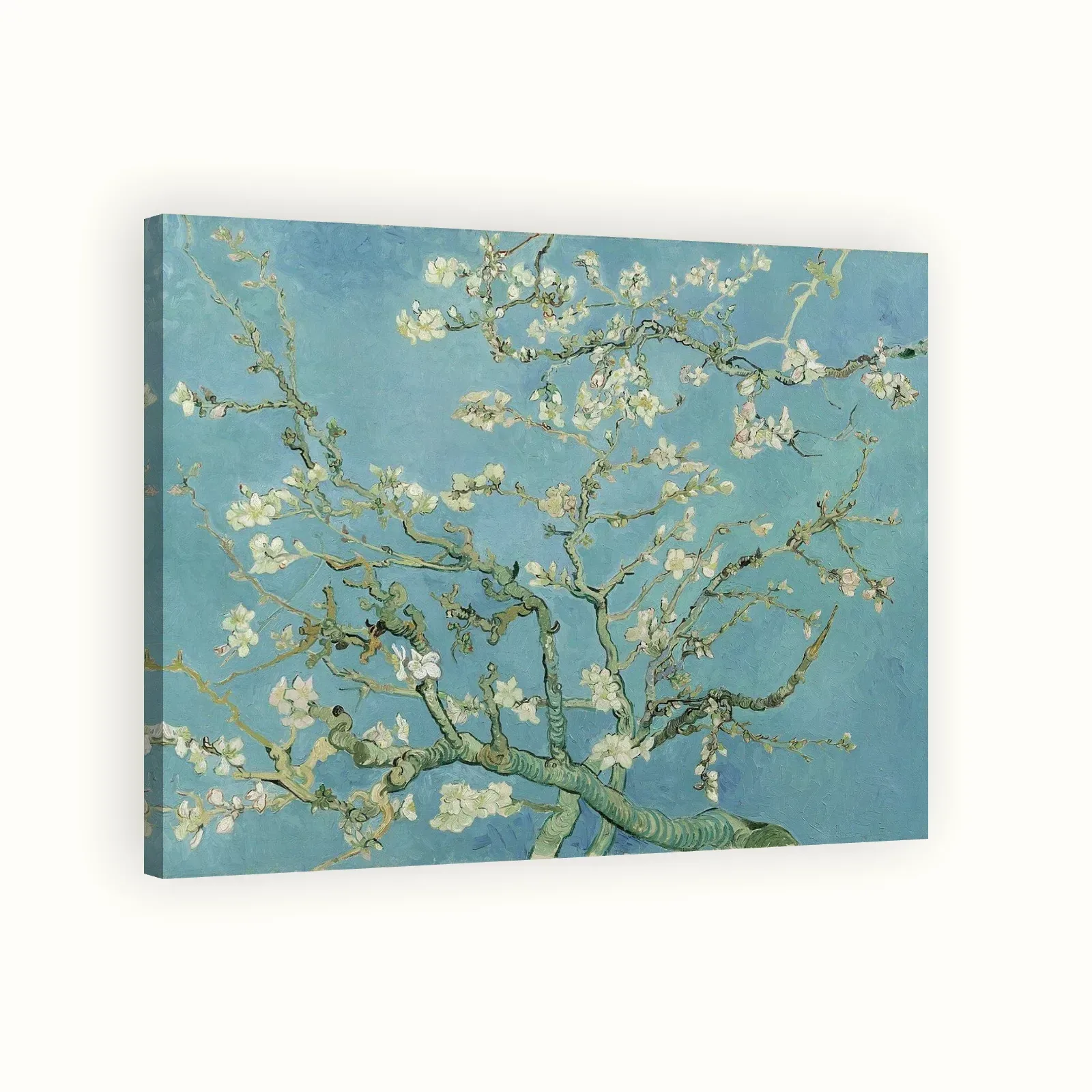 Almond Blossom by Vincent van Gogh, 1890: Stretched canvas