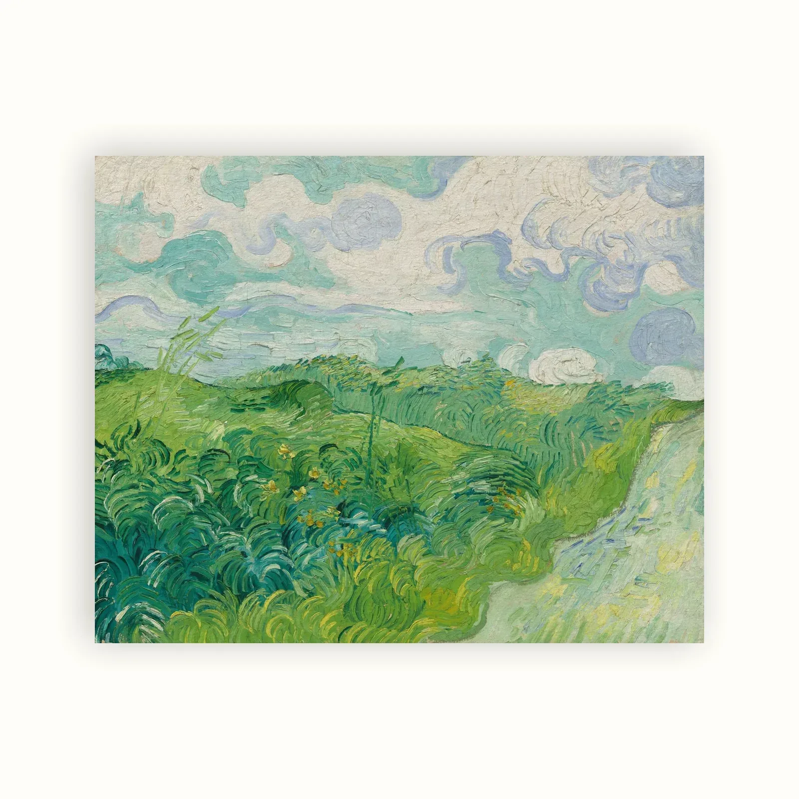 Green Wheat Fields, Auvers by Vincent van Gogh, 1890: as a fine art print