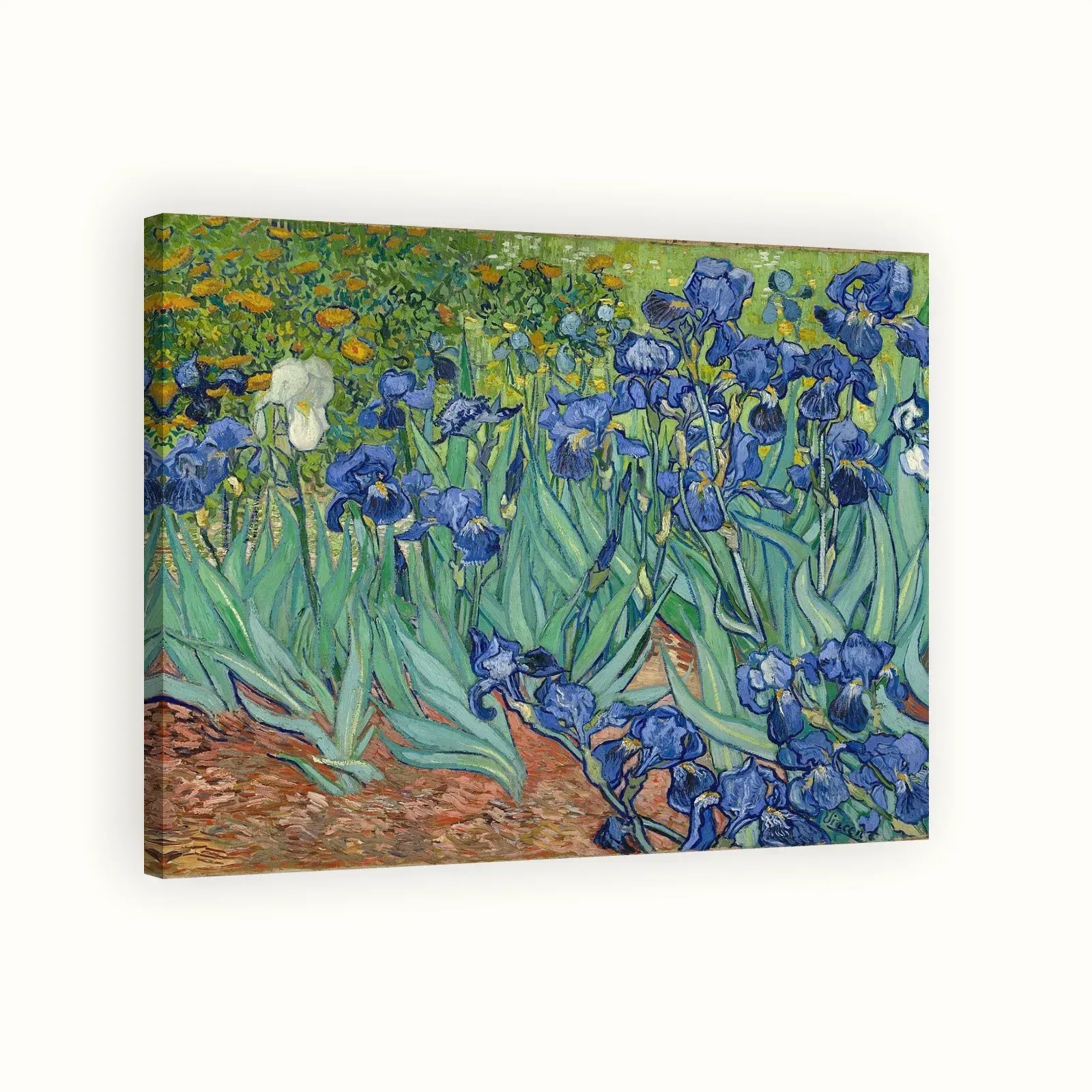 Irises by Vincent van Gogh, 1889: Stretched canvas